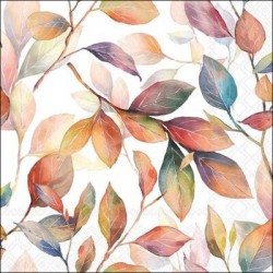 TOVAGLIOLI 33x33 FOGLIE COLORATE 20pz