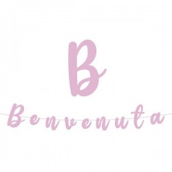FESTONE BENVENUTA 3mt ROSA