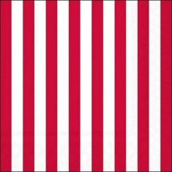 TOVAGLIOLI 33X33 STRISCIA ROSSA 20pz