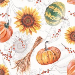 TOVAGLIOLI 33x33 ZUCCHE E GIRASOLI 20pz