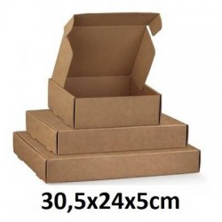 SCATOLA FAST 30,5x24x5cm AVANA LISCIA 10pz