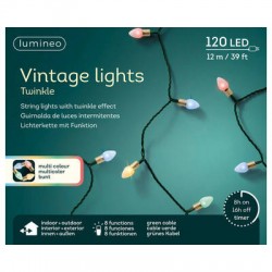 LUCI VINTAGE 120 LED 12mt FILO VERDE DA INTERNO ED ESTERNO COLORATE
