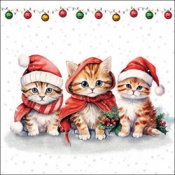 TOVAGLIOLI 33x33cm CUTE KITTENS 20pz