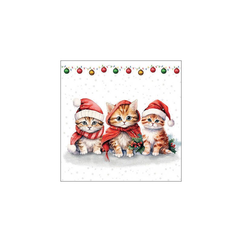 TOVAGLIOLI 33x33cm CUTE KITTENS 20pz
