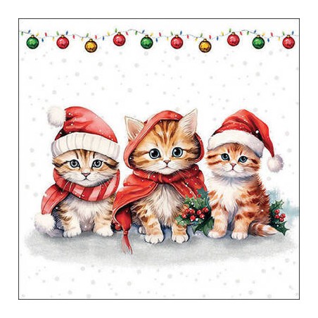 TOVAGLIOLI 33x33cm CUTE KITTENS 20pz