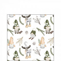 TOVAGLIOLI 25x25 GNOMI DELLA FORESTA WHITE 20pz
