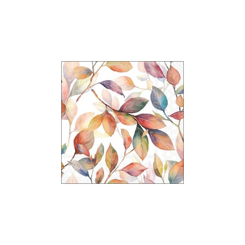 TOVAGLIOLI 33x33 FOGLIE COLORATE 20pz