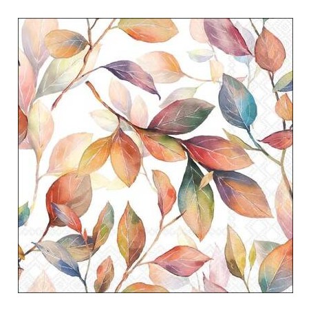 TOVAGLIOLI 33x33 FOGLIE COLORATE 20pz