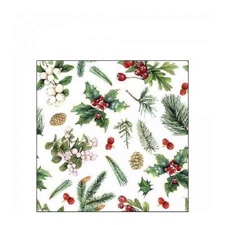 TOVAGLIOLI 25x25 WINTER GREENERY WHITE  20pz