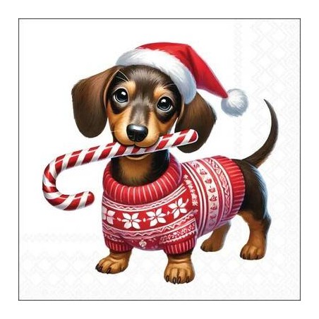 TOVAGLLIOLI 25x25 BASSOTTO XMAS 20pz