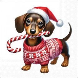 TOVAGLLIOLI 33x33 BASSOTTO XMAS 20pz