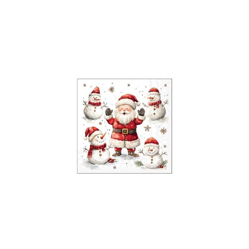 TOVAGLIOLI 25x25 JOLLY FRIENDS 20pz