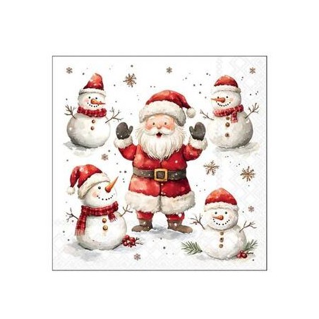 TOVAGLIOLI 25x25 JOLLY FRIENDS 20pz