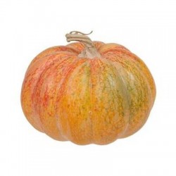 ZUCCA IN PLASTICA 11x11x7,5cm ARANCIONE