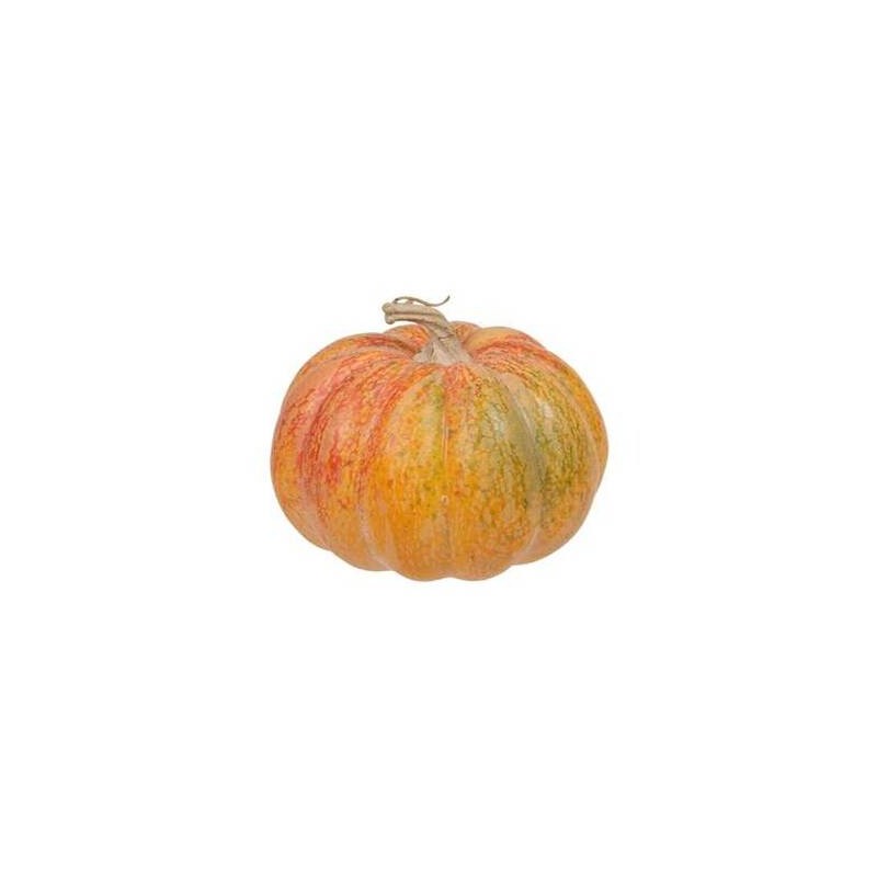 ZUCCA IN PLASTICA 11x11x7,5cm ARANCIONE