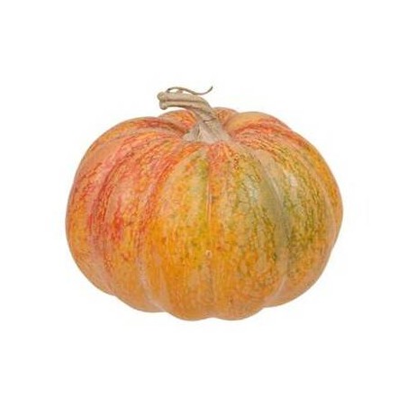 ZUCCA IN PLASTICA 11x11x7,5cm ARANCIONE