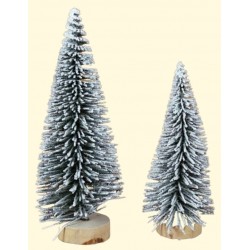 PINETTI INNEVATI 10-12cm ASS.TI