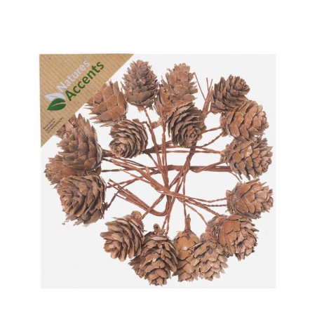 PICKS PIGNE NATURAL C/FILO IN BOX