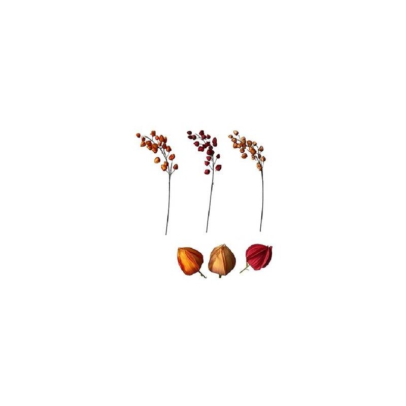 FRUTTA SECCA SU STELO 99cm ASS.TA 1pz