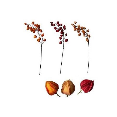 FRUTTA SECCA SU STELO 99cm ASS.TA 1pz