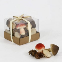 BOX CON FUNGHI E PIGNE 9cm