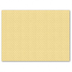 TOVAGLIETTE 30x40cm CARTA CHAMPAGNE 250PZ FATO