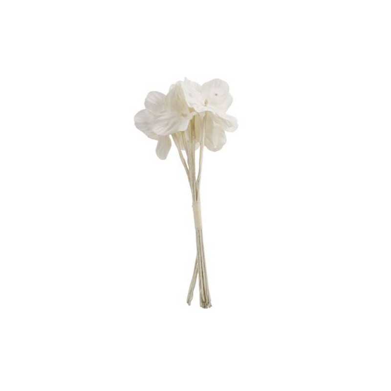 PICKS FIORE MYOSOTIS BIANCO 12pz