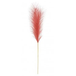 PAMPAS H60cm ROSSA