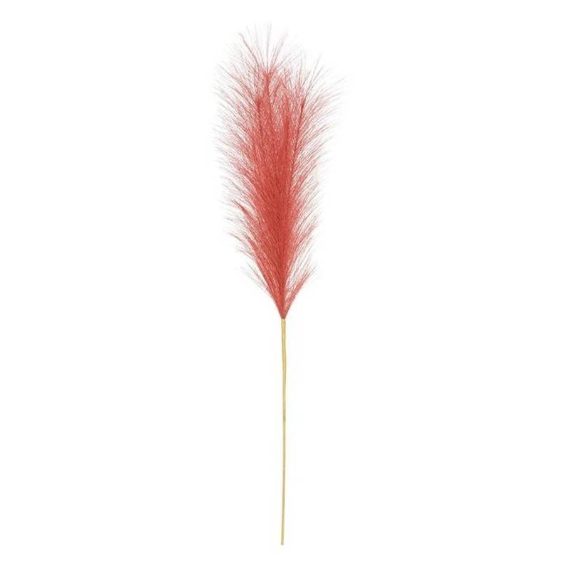 PAMPAS H60cm ROSSA