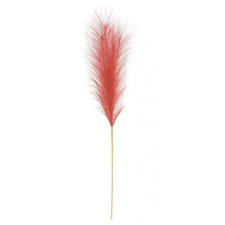 PAMPAS H60cm ROSSA