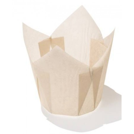 PIROTTINI TULIP 50x50mm H.72mm ECRU 120pz