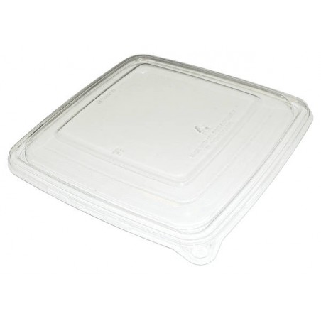 COPERCHIO R-PET INSALATIERA POLPA QUADRATA 750/1000ml 17x17x6 BIO COMPOSTABILE 50pz