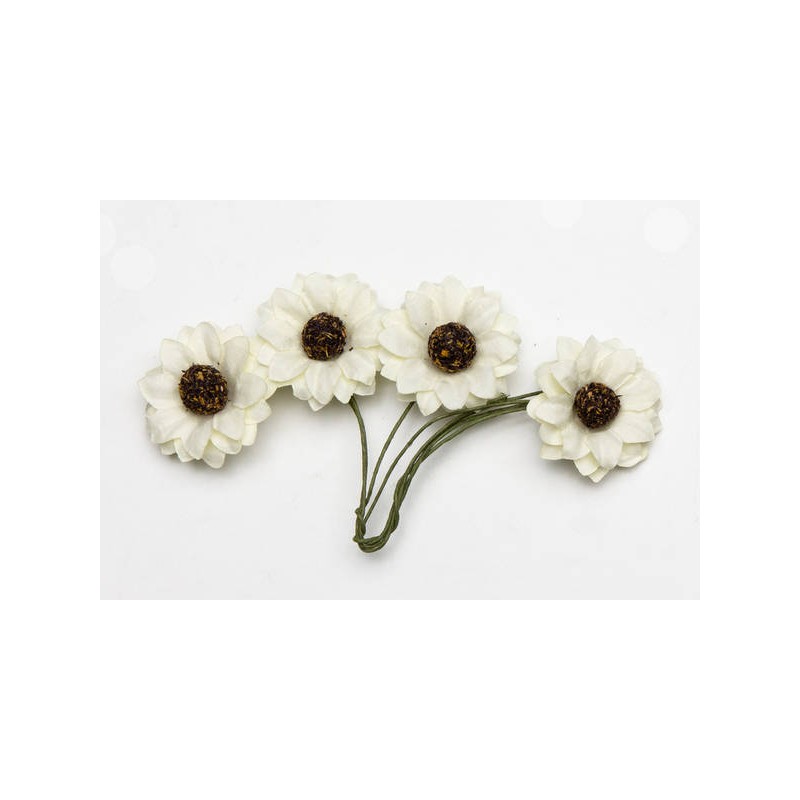 PICKS GIRASOLE BIANCO ø2,2cm 12pz