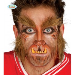 SOPRACCIGLIA E BASETTE LUPO MANNARO