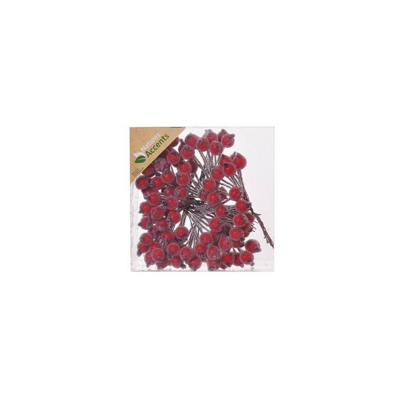 PICKS BACCHE GLASSATE 12mm IN BOX
