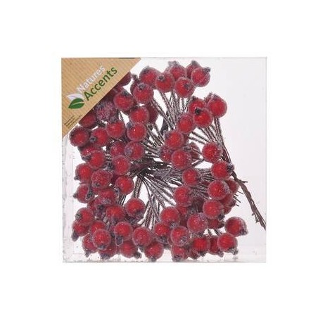 PICKS BACCHE GLASSATE 12mm IN BOX