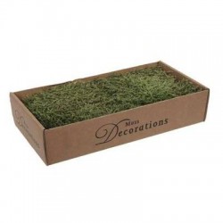 MUSCHIO PIATTO IN SCATOLA 400gr VERDE