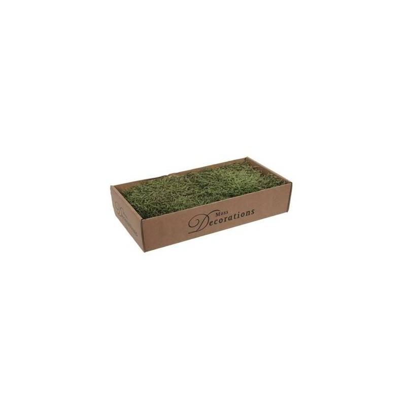 MUSCHIO PIATTO IN SCATOLA 400gr VERDE