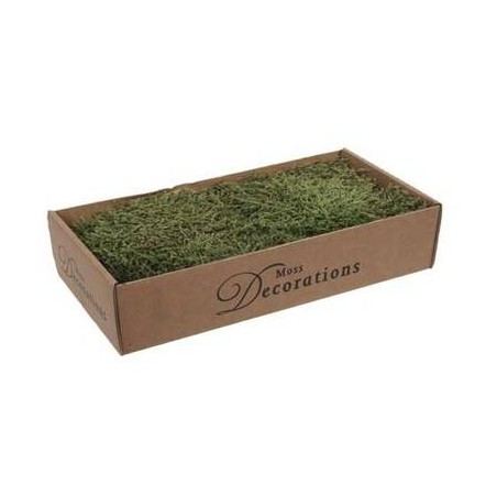 MUSCHIO PIATTO IN SCATOLA 400gr VERDE