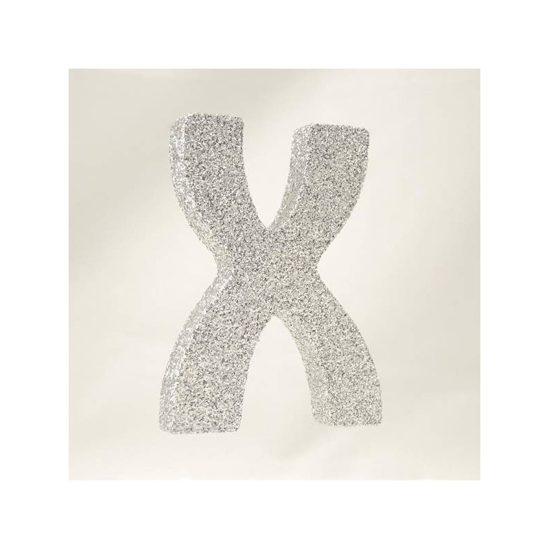 LETTERA POLISTIROLO GLITTER ARGENTO mm120x90 X