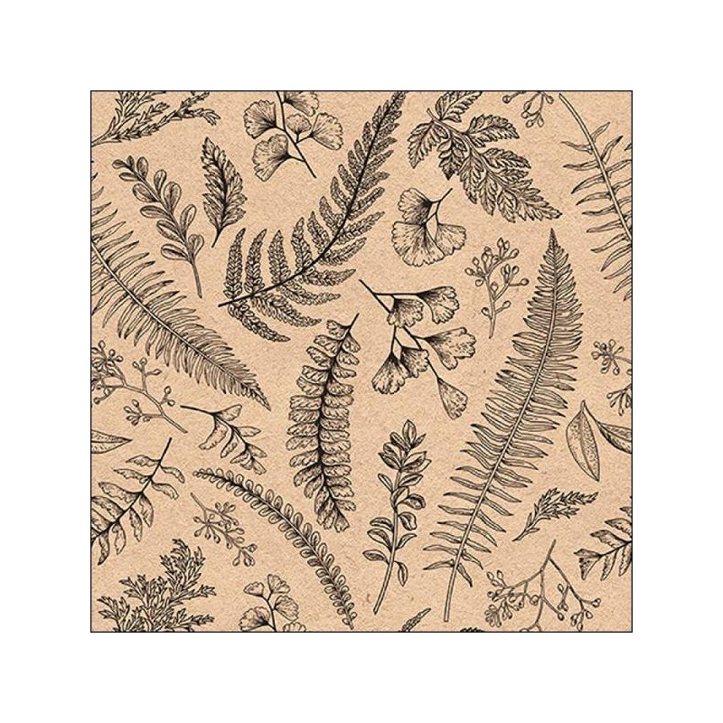 TOVAGLIOLI 33x33 LEAVES AND HERBS 20pz