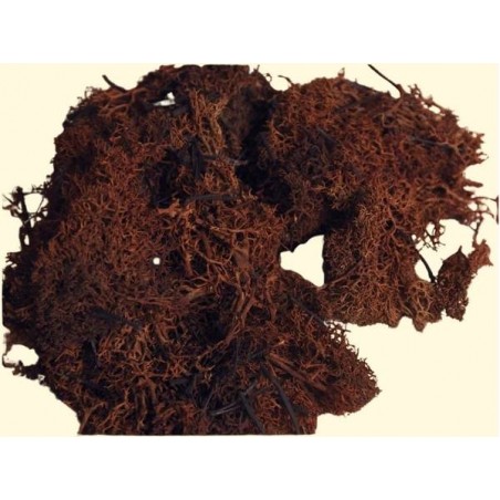 MUSCHIO LICHENE MARRONE BUSTA 30gr