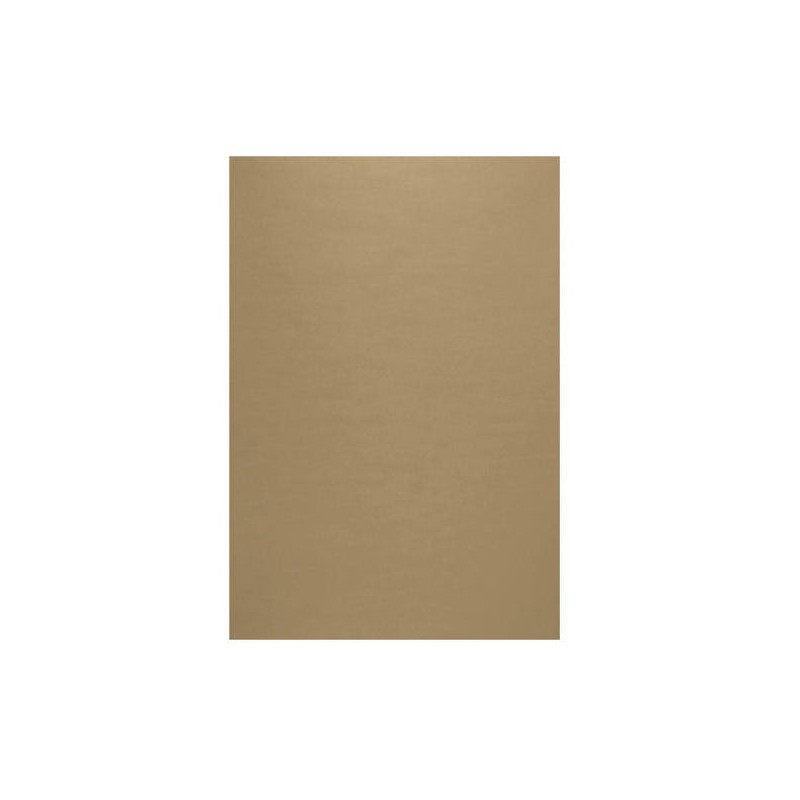 FOGLIO DI CARTONE AVANA 70x100 LISCIO