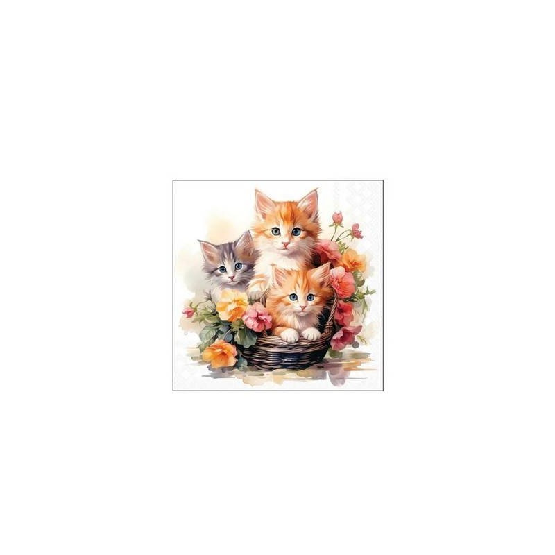 TOVAGLIOLI 25x25 GATTINI NEL CESTINO 20pz