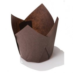 PIROTTINI TULIP 50x50mm H.72mm BROWN 120pz