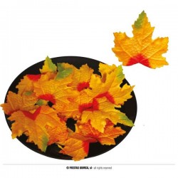 FOGLIE DI ZUCCA 9-10cm 24pz