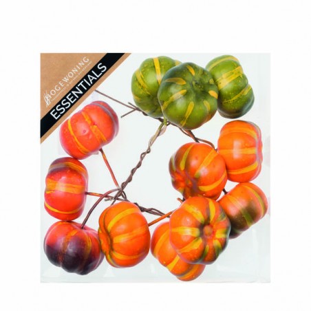 PICKS ZUCCHE C/FILO 4cm IN BOX