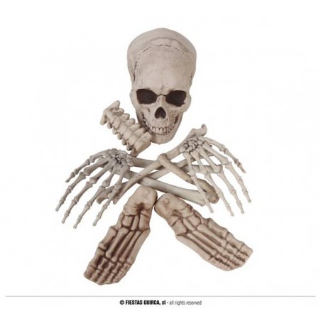 CONFEZIONE CON 12 OSSA