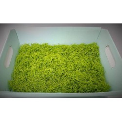TRUCIOLO CARTA BUSTA 1kg VERDE CHIARO