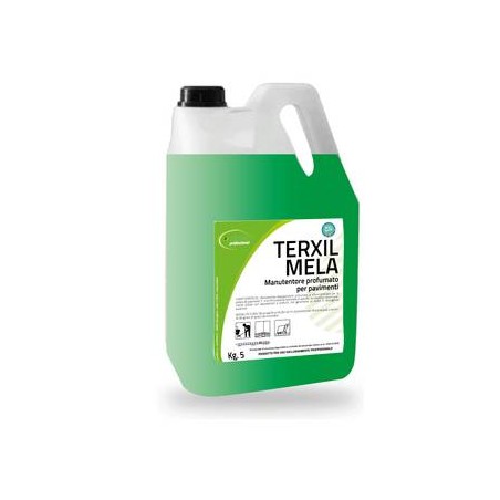 DETERGENTE LAVASCIUGA NON SCHIUMOGENO TERXIL MELA 5lT CDET